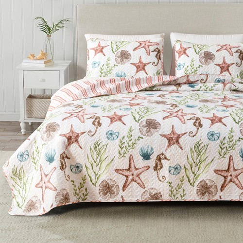 Queen seahorse shells - shells, coastal