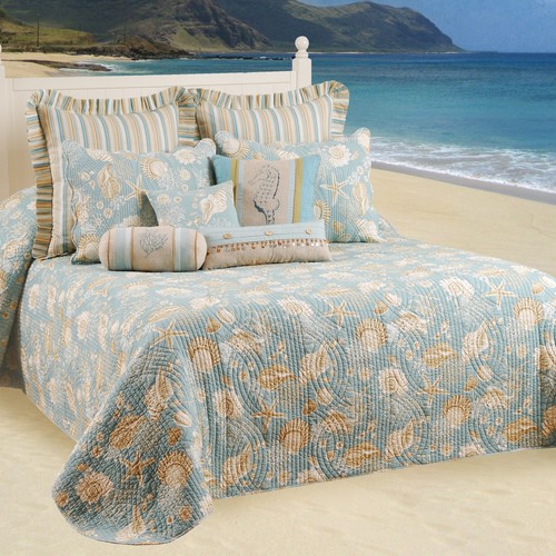 Natural shells oversized - shells,